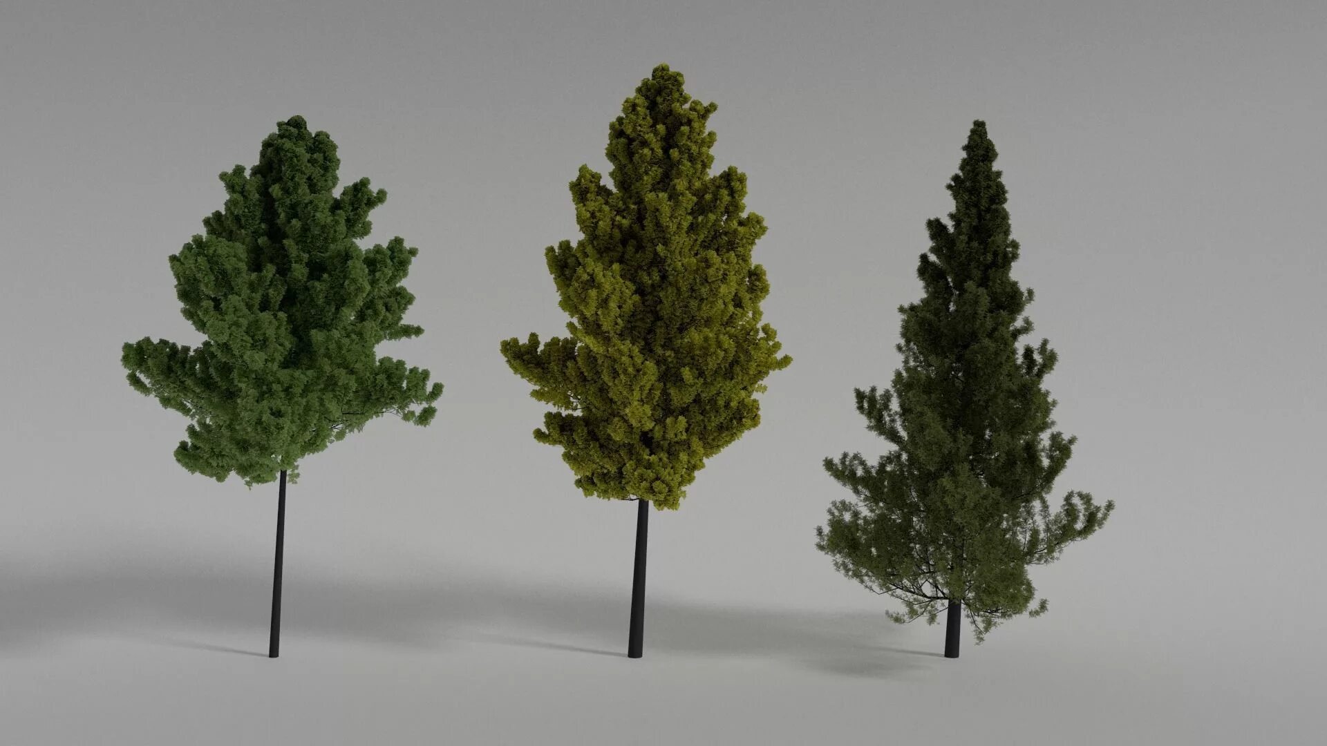 Ель 3д модель. Шейдер 3д макс дерево. деревья 3d max corona. low poly деревья corona. дерево 3d модель.