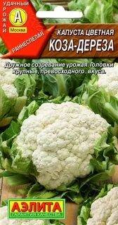 Цветная капуста сорт коза дереза
