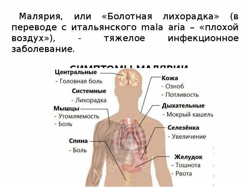 Болотная болезнь