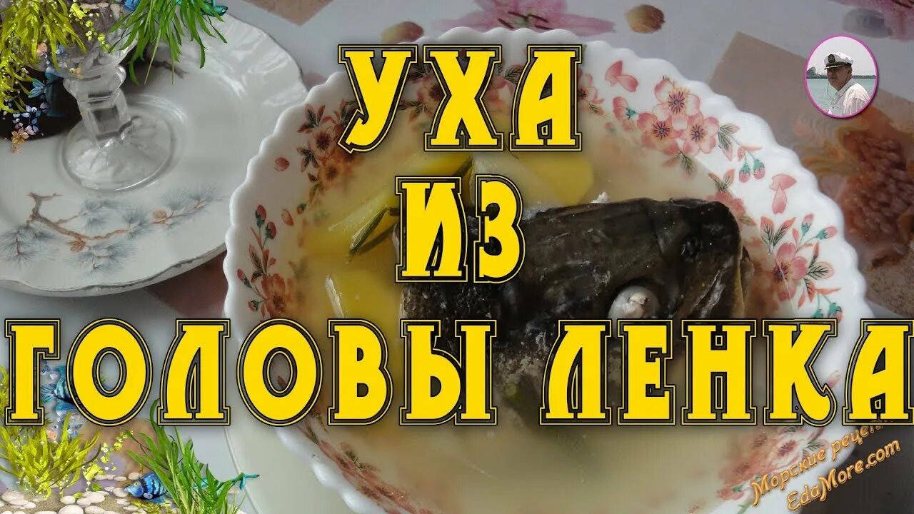 Уха из рыбы Ленок. Ленок рыба как готовить. Уха из головы лосося. Как варить уху из ленка. Рецепт ленки