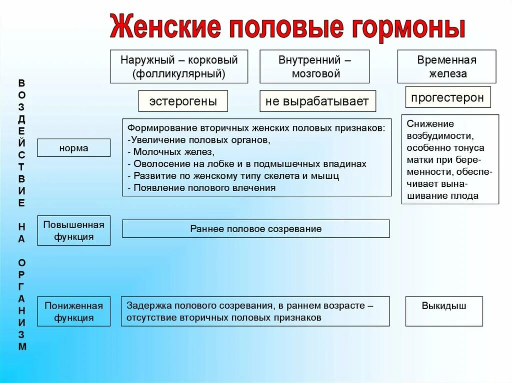 Какие структуры ответственны
