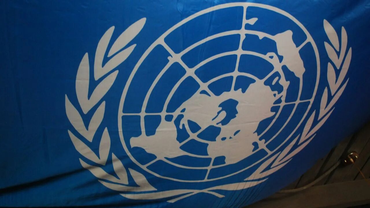 Флаг миротворцев ООН. Флаг миротворческих сил ООН. ООН Узбекистан. Миротворческие силы ООН эмблема.