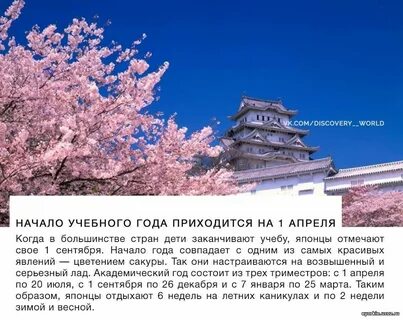 Когда начинается учебный год в японии