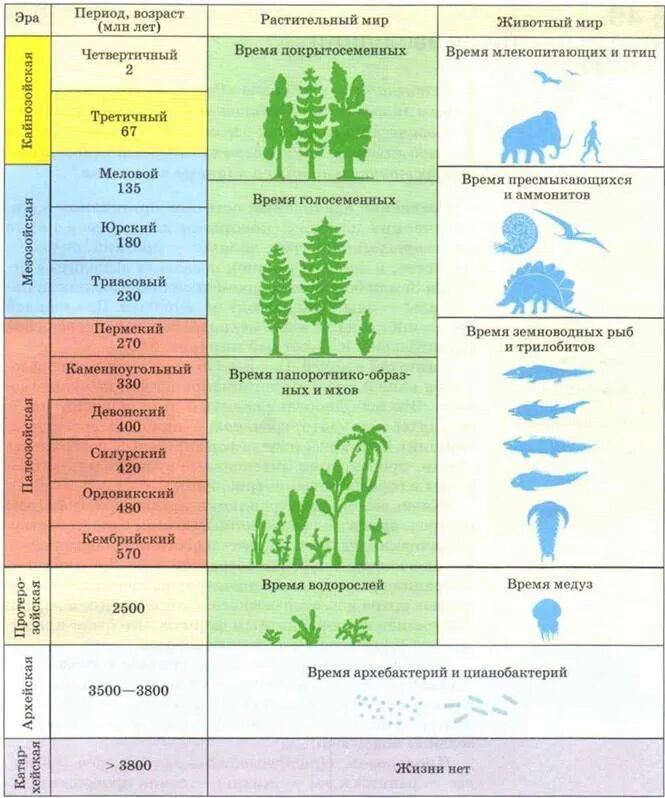 Эры планеты земля. Эпохи и периоды развития жизни на земле. Геохронологическая таблица Эволюция растений. Эры развития земли в хронологическом порядке. Этапы развития жизни на земле эры.