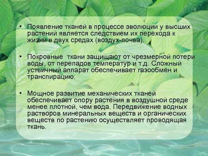 У каких растений появились ткани. Появление тканей у растений. Эволюция тканей растений. Появление растений в процессе эволюции. Возникновение тканей у растений.