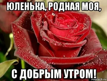Открытки доброе утро юля