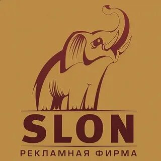 Компания слон