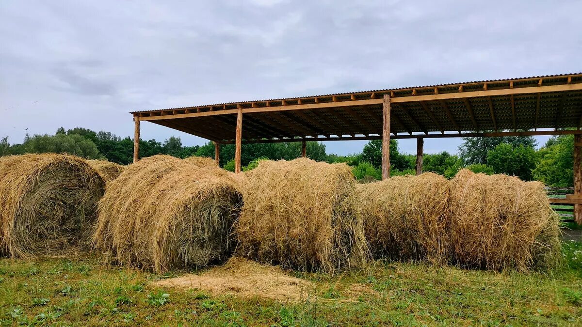 Тюк сена прп 150. Авито чувашия сено в тюках. Кипа сена. Сено в тюках. Корм для животных в тюках.