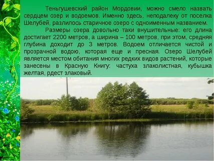 Край краткое содержание