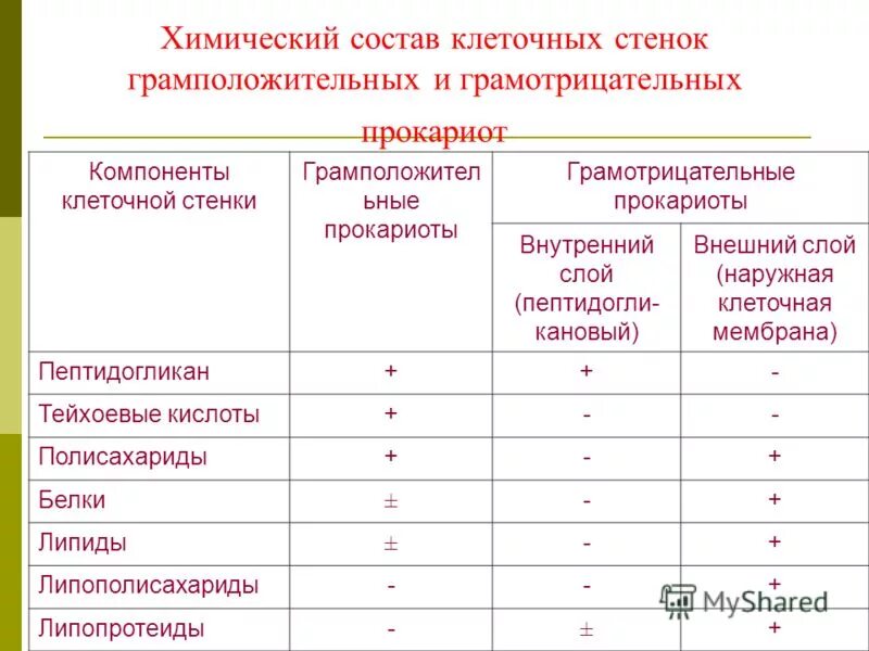 компоненты клеточных стенок грамположительных. строение клеточной стенки грамположительных бактерий. компоненты клеточных стенок грамположительных. строение клеточной стенки грамотрицательных бактерий. структурные компоненты клеточной стенки грамположительных бактерий.
