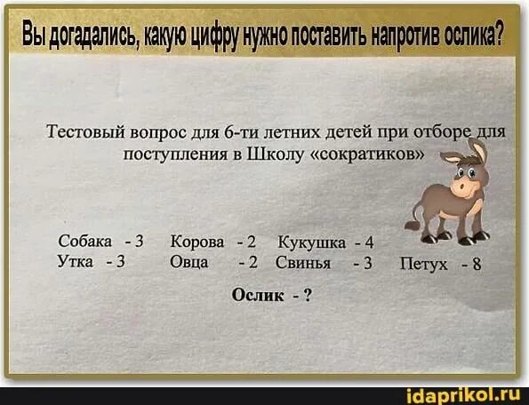 Задача сколько осликов. Задания для школы сократиков. загадка для поступления в школу сократиков. задача для дошкольников про ослика. задачи для сократиков.