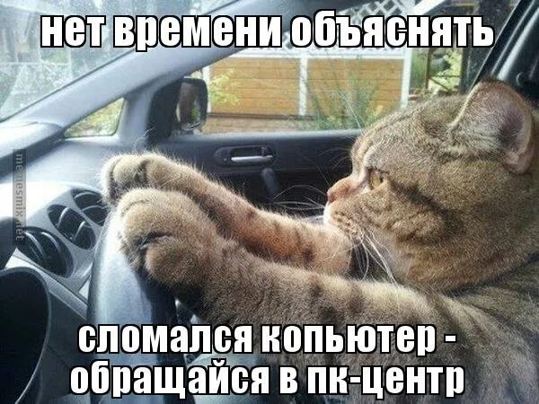 задрожал как осиновый лист. закончить фразеологизмы. объяснить дрожать. слишком много адреналина в крови. дрожит рисунок.