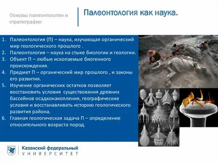 Что изучает палеонтология