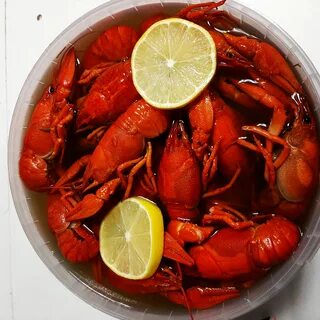 Раки краснодар