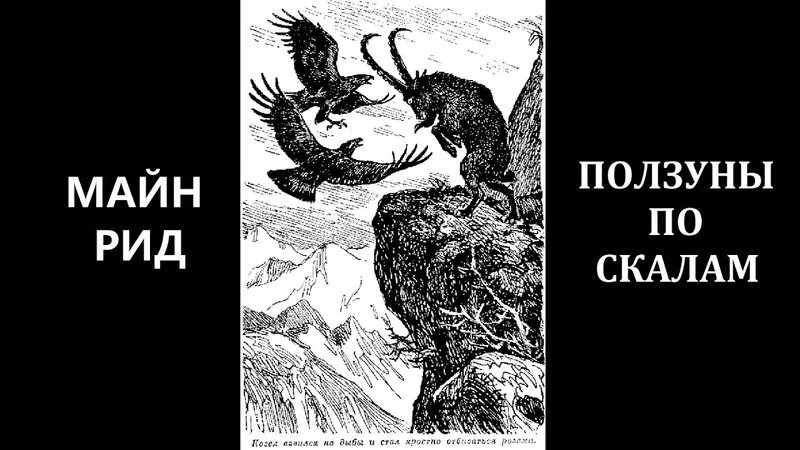 Рассказы майна рида. Рассказы майна рида