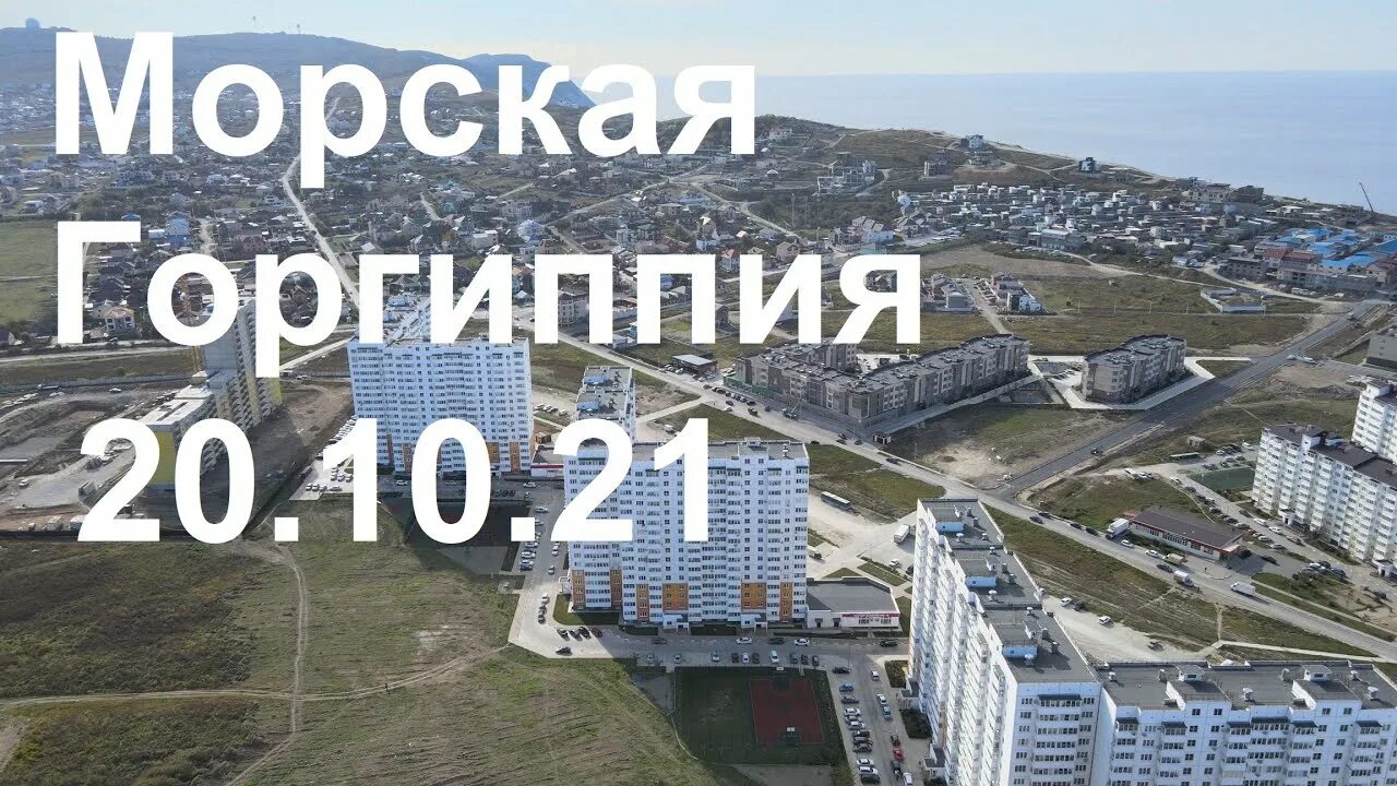 Горгиппия морская купить