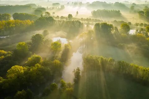 Конкурс фотографий 2024 природа