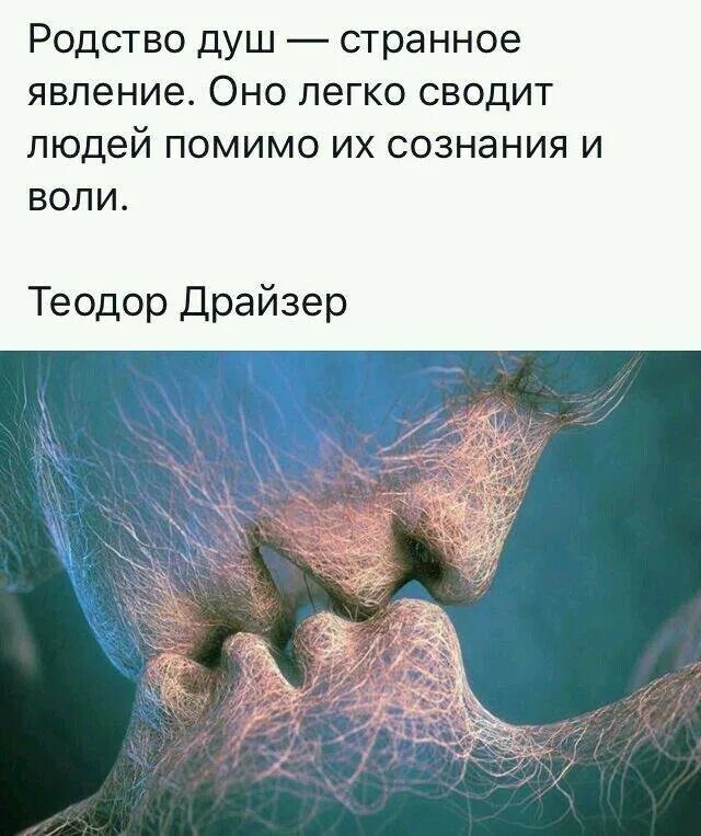 Что значит чувствовать душой. Родственные души высказывания. Родственные души цитаты. Афоризмы про родственные души.