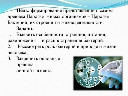 Биология 5 класс многообразие бактерий и вирусов