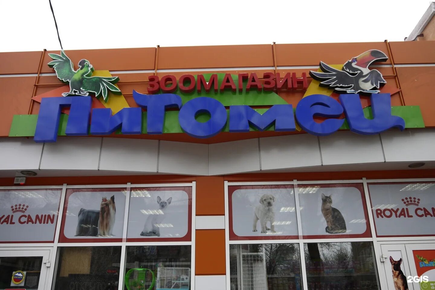 Зоомагазин на первомайской. Зоомагазин ессентуки. зоомагазин в ессентуках на первомайской улице. зоомагазин ессентукская. зоомагазин на улице ессентукская в городе пятигорске.
