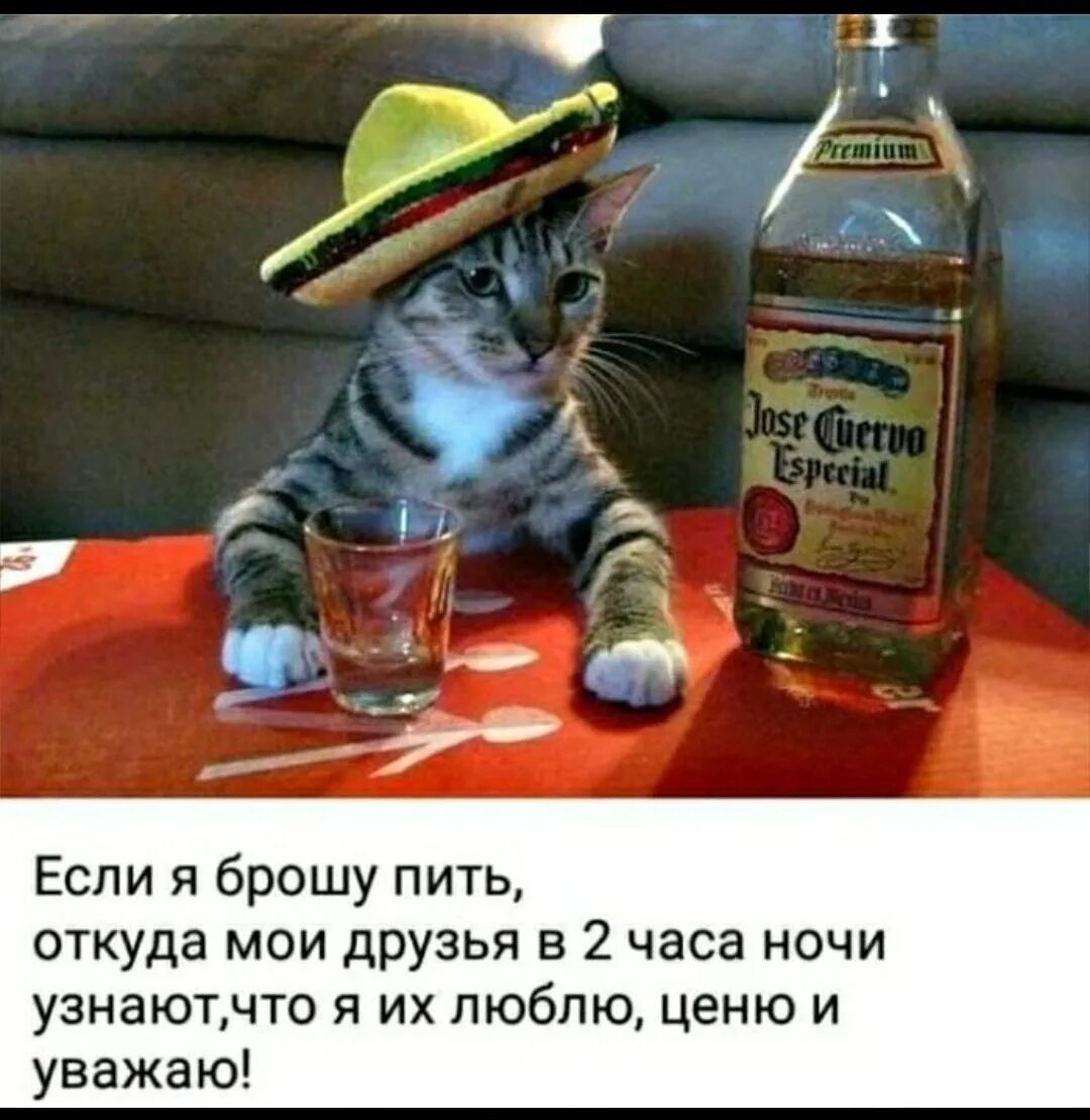 Попит где можно