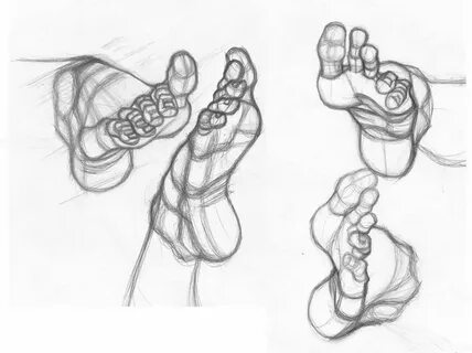 Head hands feet