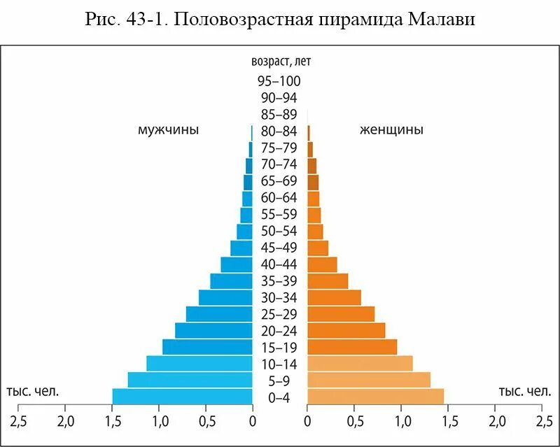 Мир возраст найти. Половозрастная пирамида Турции. Половозрастная пирамида Мексики. Половозрастная пирамида Афганистана.