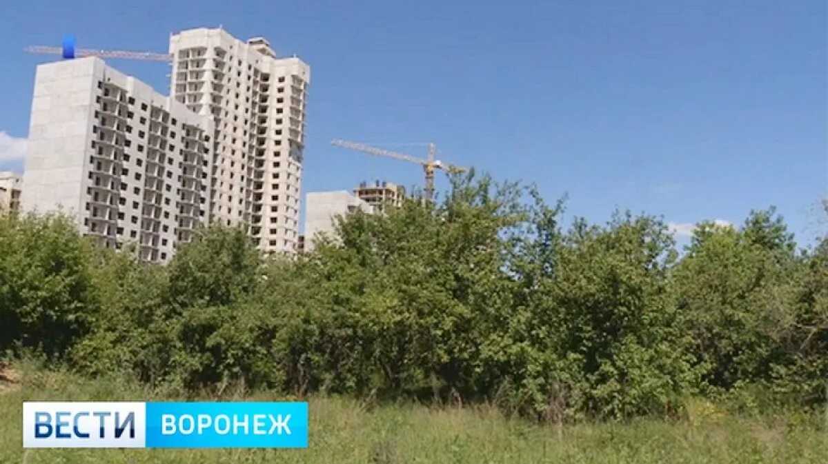 Жк яблоневые сады воронеж. Яблоневые сады воронеж застройка. Застройка яблоневого сада в воронеже 2022. Жк яблоневые сады воронеж. Яблоневые сады воронеж.