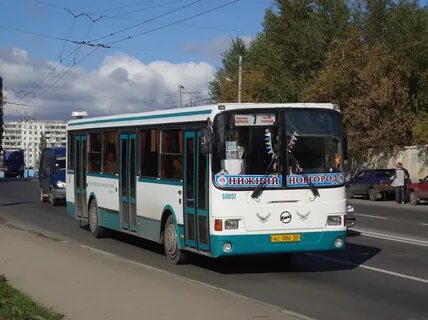 237 маршрут