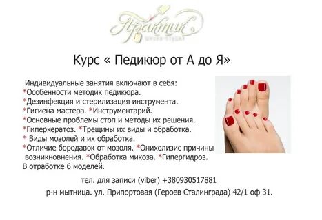 Базовый курс обучение