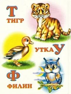 Живая азбука животных
