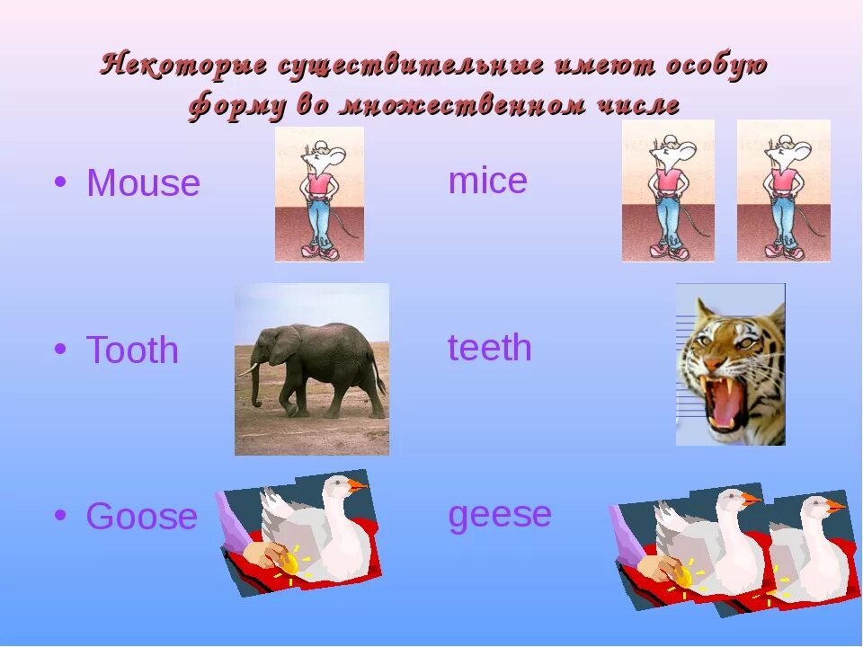 Мыши во множественном. Mouse множественное число. множественное число по английскому mouse. mouse во множественном числе на английском. как будет мышь во множественном числе на английском.