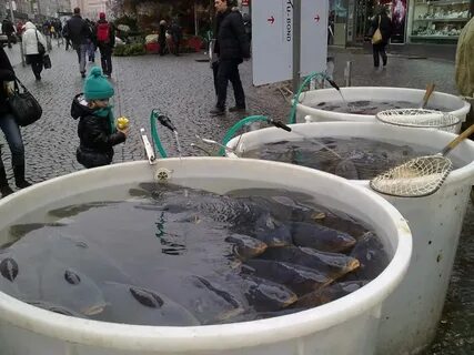 Рыба бочок