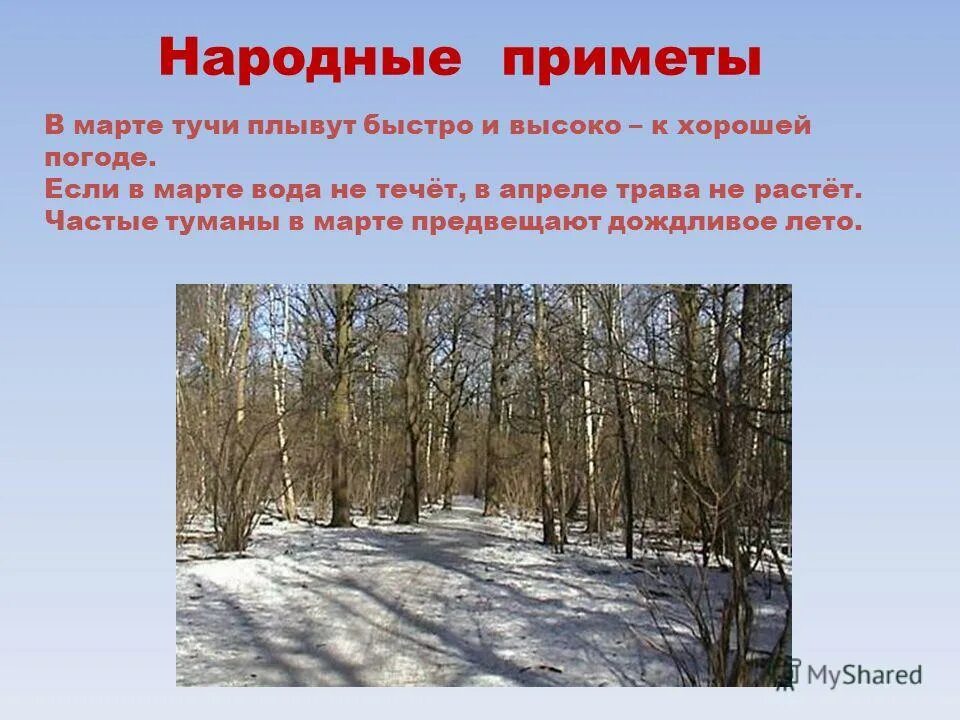 народные приметы погоды на декабрь 2023 года