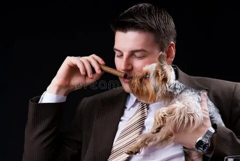 Smoking dog