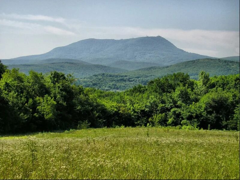 15 станиц краснодарского края. Гора Собер баш. Собер баш Краснодарский край. Гора Собербаш Северский район. Гора Собер баш Северский район.