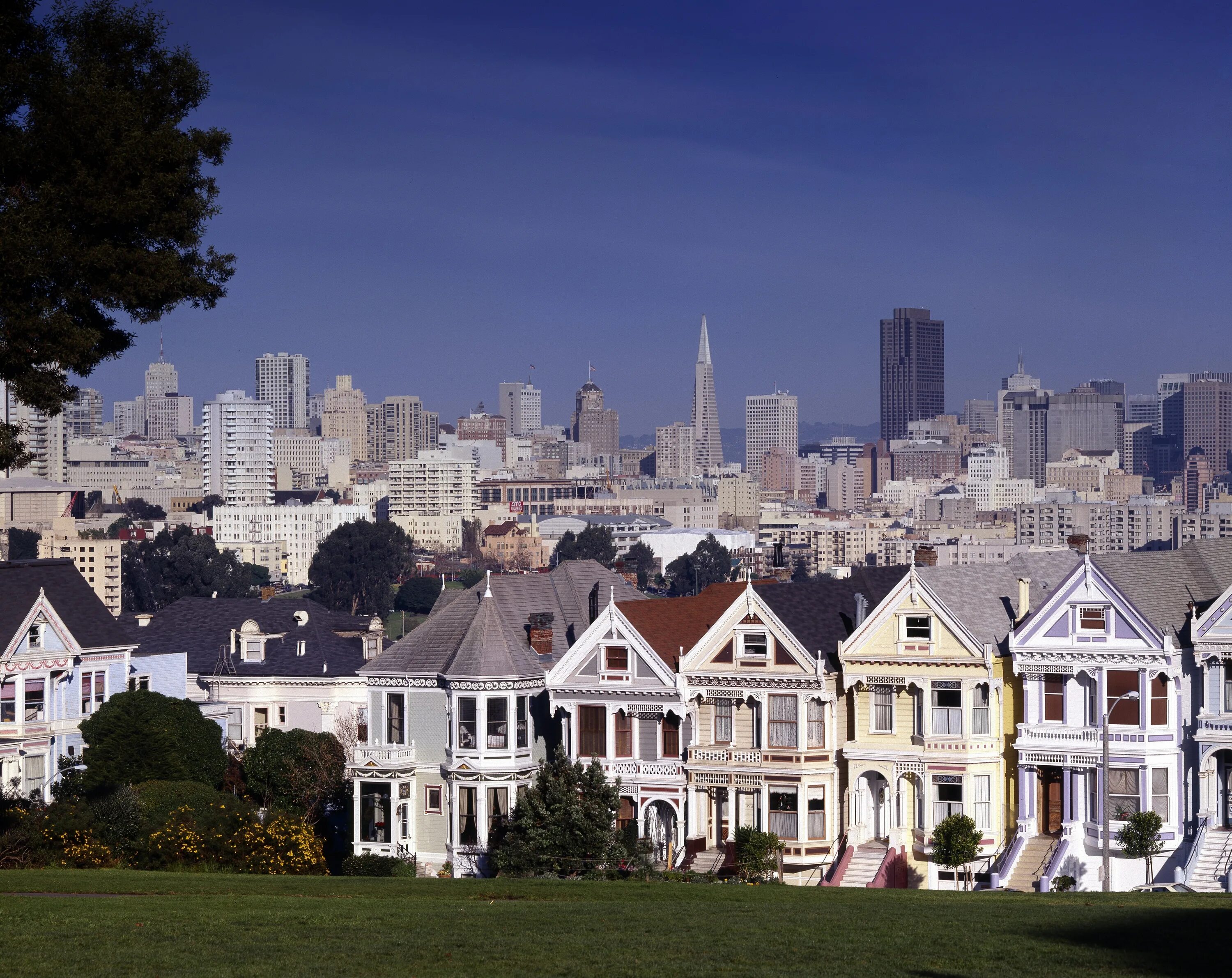 Сан Франциско. Сан Франциско пригород. Сан-Франциско Калифорния город. Сан Франциско Калифорния США Америка. House regions
