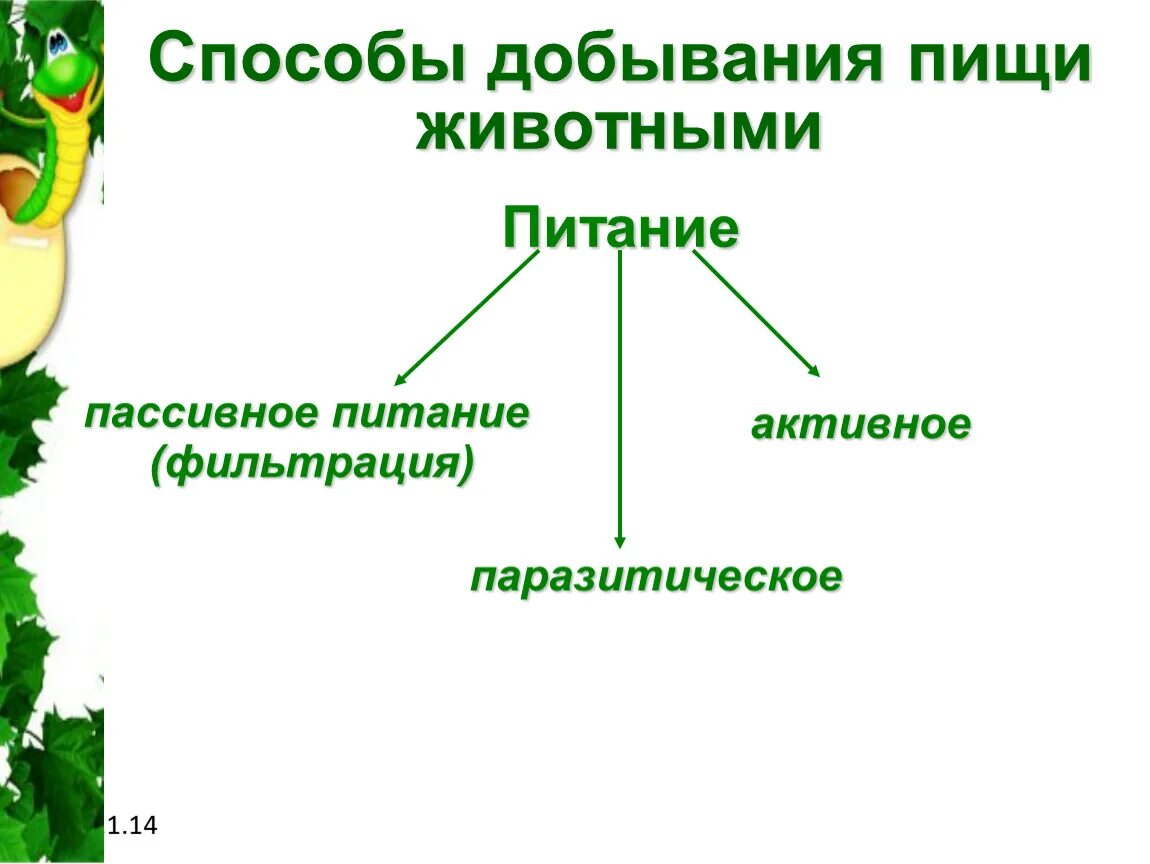 Способы добычи пищи животными. Способы добывания пищи у животных. Формы активного питания у животных. Сообщение на тему способы добывания пищи животными.