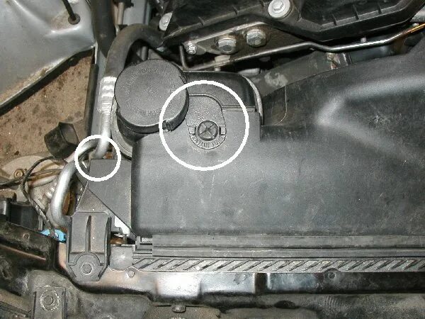 антифриз бмв е39