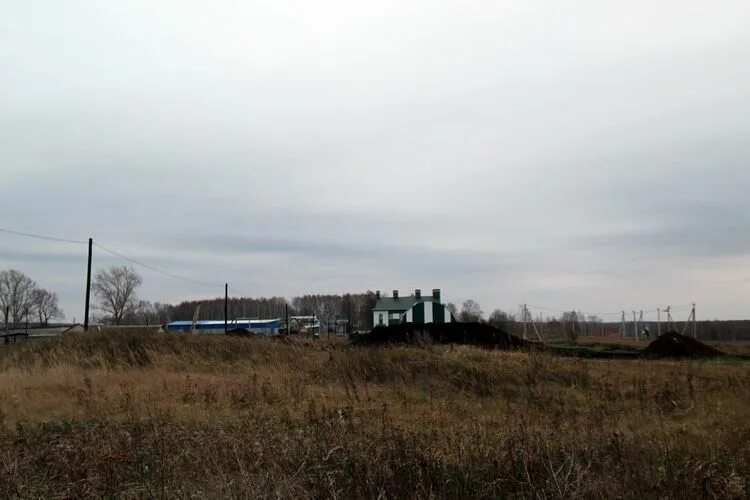 станция зелёный дол зеленодольск. трехсотлетняя сосна новосибирск. железнодорожная стания "зеленый дол". зелёный дол (саратовская область). поселок зеленый дол березовский городской.