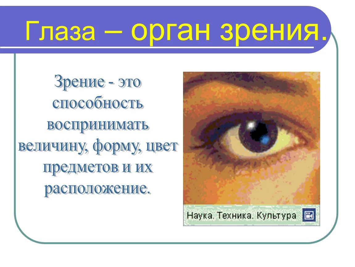 Глаза это орган чувств. Органы чувств. Органы чувств человека 3 класс. Органы чувств зрение. Презентация на тему органы чувств.