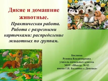 Практический животный