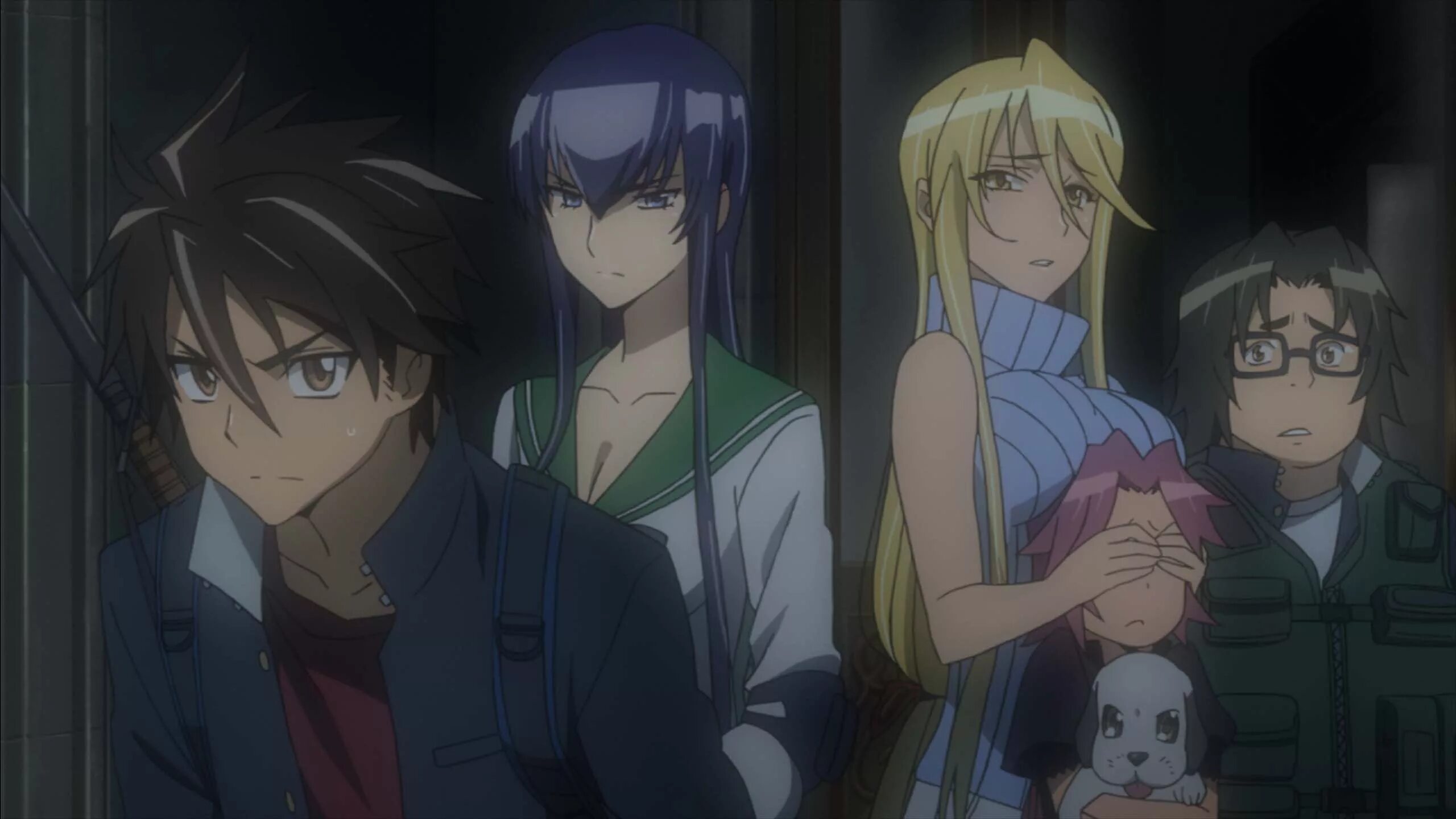 High school of s. Школа мертвецов Highschool of the Dead. High School of the Dead Такаши.