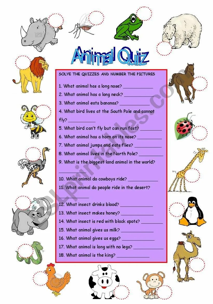 Квиз по английскому. Quiz worksheets. Grocery shopping worksheet. Geographical features worksheets. Animals quiz for kids.