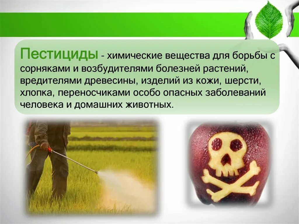 Пестициды заболевания. Пестициды. Опасность пестицидов. Пестициды и человек. Пестициды вредные для человека.