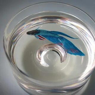 3d смола