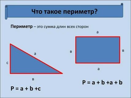 Периметрий что это такое