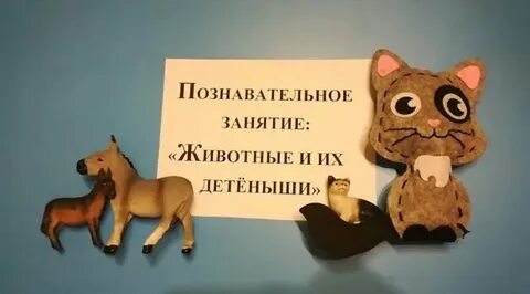 Занятие познавательное развитие животные