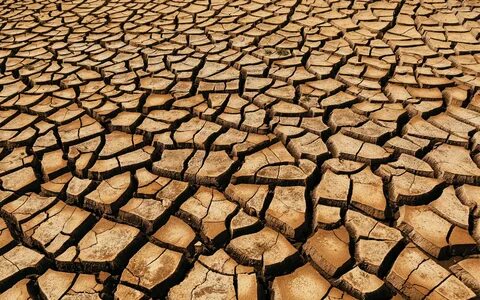 Damaged lands