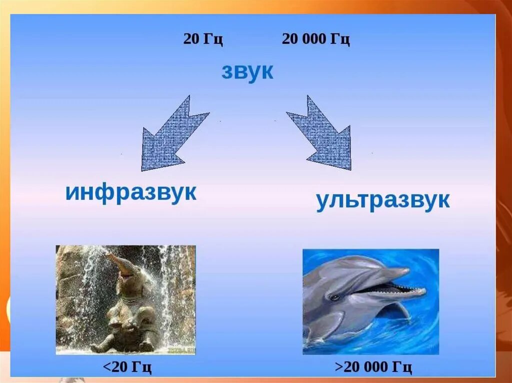 Ультразвук и инфразвук. Ультразвук и инфразвук физика. Ультразвук в природе. Звук инфразвук ультразвук. Инфразвук в гц